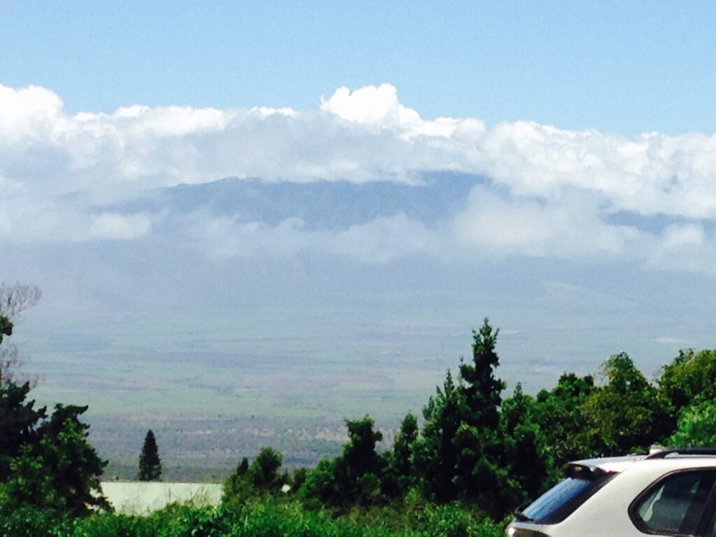 Upcountry Maui Views